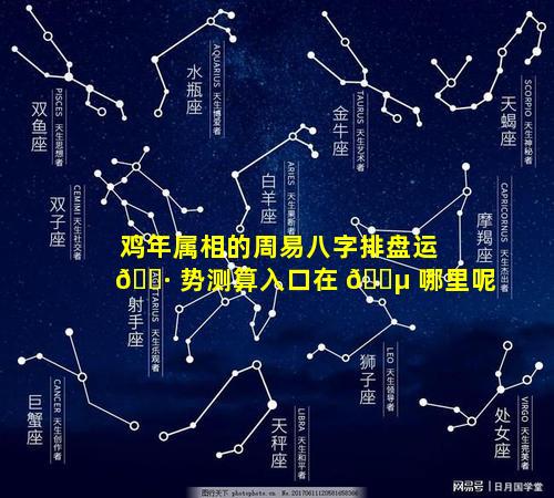鸡年属相的周易八字排盘运 🌷 势测算入口在 🐵 哪里呢